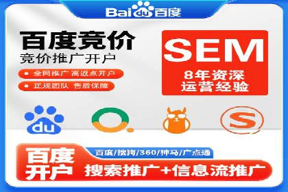 SEM托管实战：某电商平台的成功经验